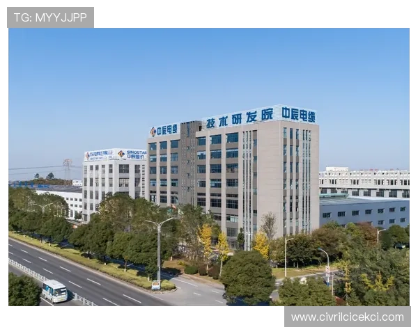 918搏天堂中国区官方技术支持团队全力保障平台稳定运行与用户体验